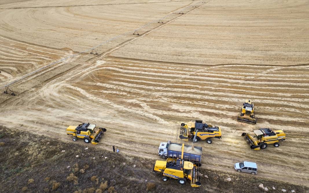Konya’nın devasa tarlaları kuraklığa avantaj sağladı! Verim şaşırttı 7